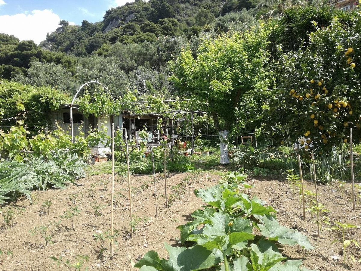 Madalenas B&B Pelekas Bagian luar foto