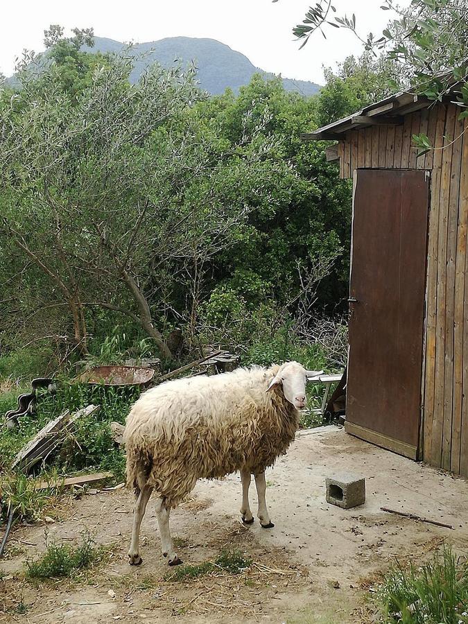 Madalenas B&B Pelekas Bagian luar foto