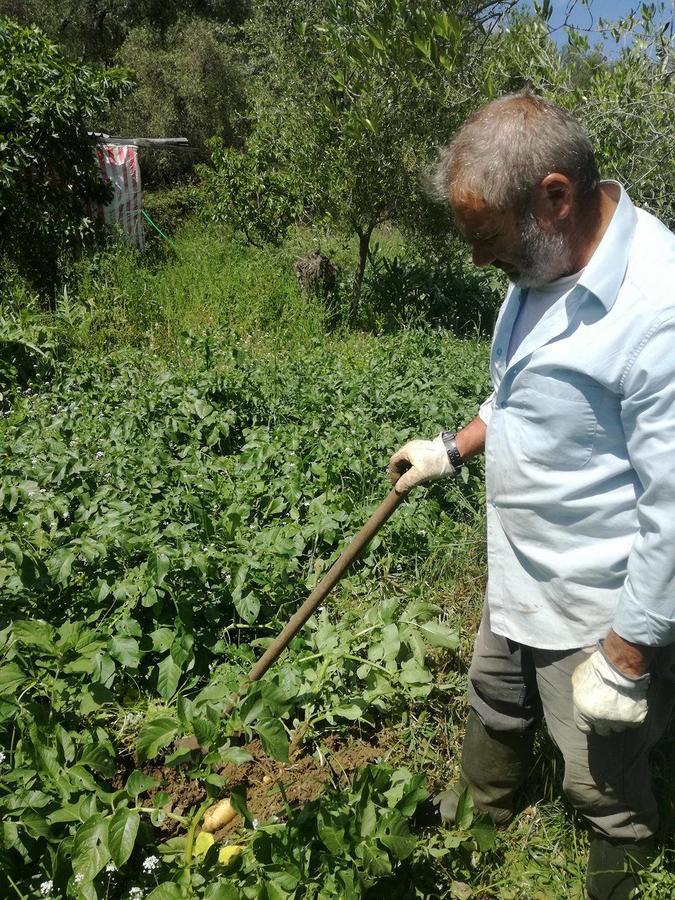 Madalenas B&B Pelekas Bagian luar foto